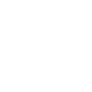 Phone white icon